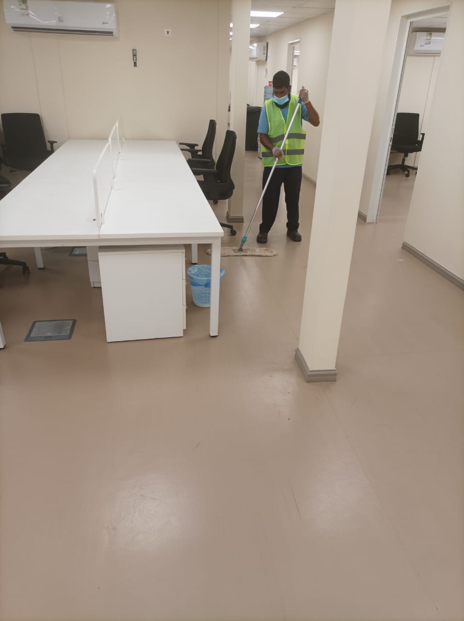 Novaroots Project 52